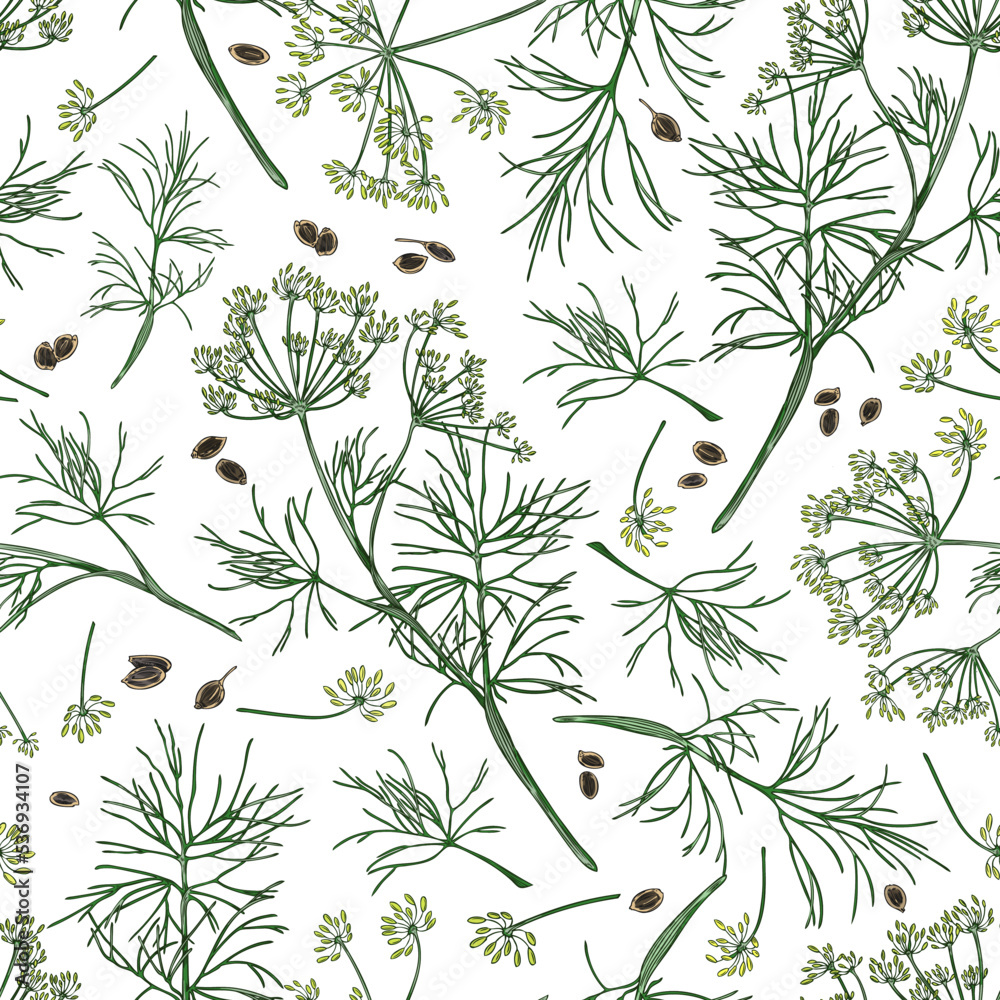 Seamless pattern with colorful hand drawn dill plants and seeds sketch style