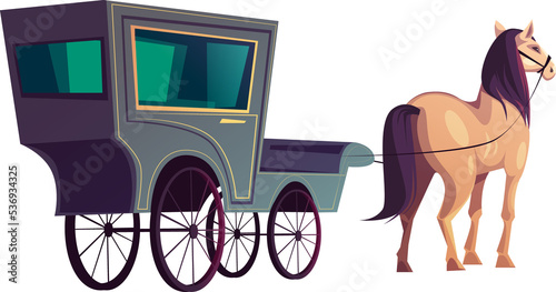 Horse with carriage photo