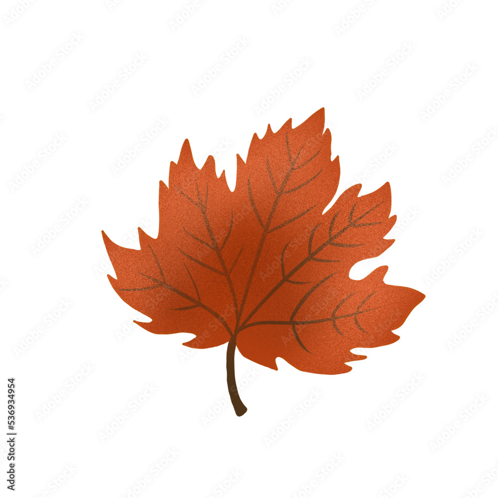 Autumn Leaf Autumn Leaf