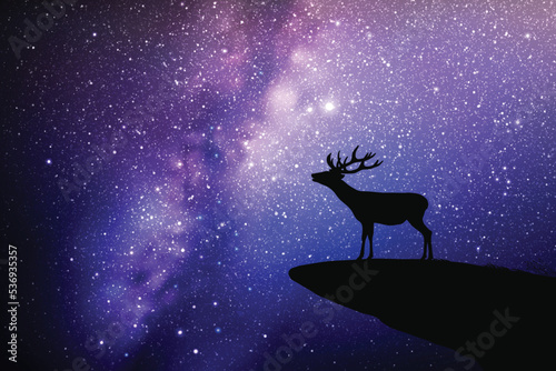 Lonely deer on cliff edge. Animal silhouette. Starry sky and Milky Way