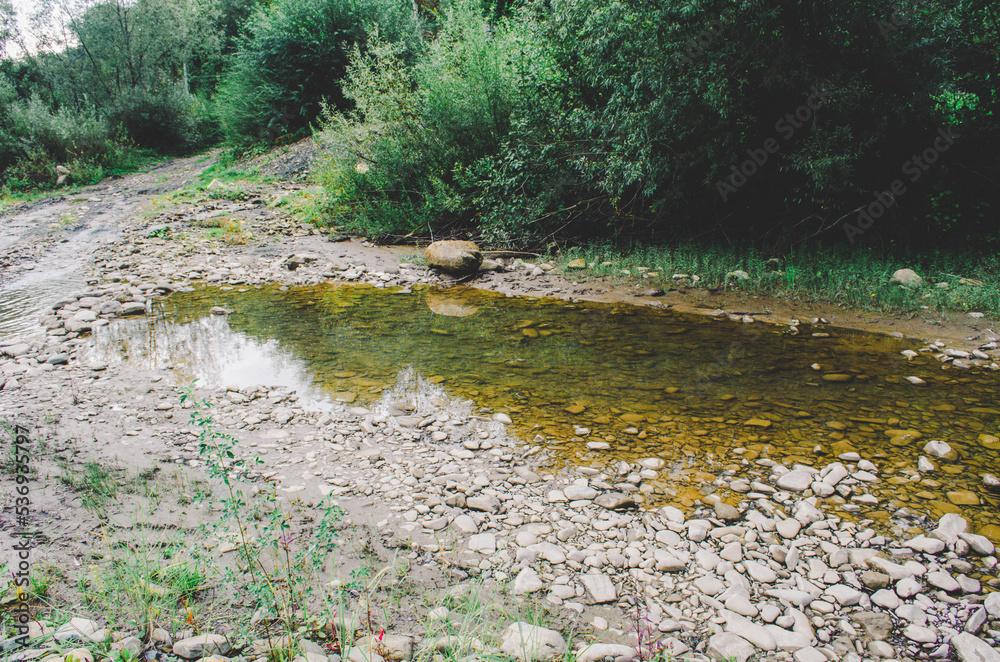 mountain river between sheer cliffs . blue clear water of the river. Young green leaves of trees