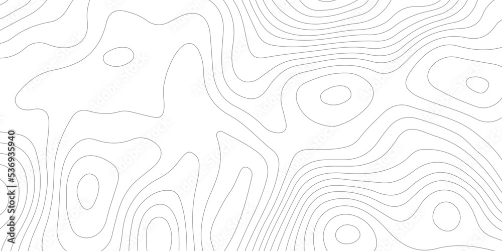 Vecteur Stock Black and white wave abstract topographic map contour