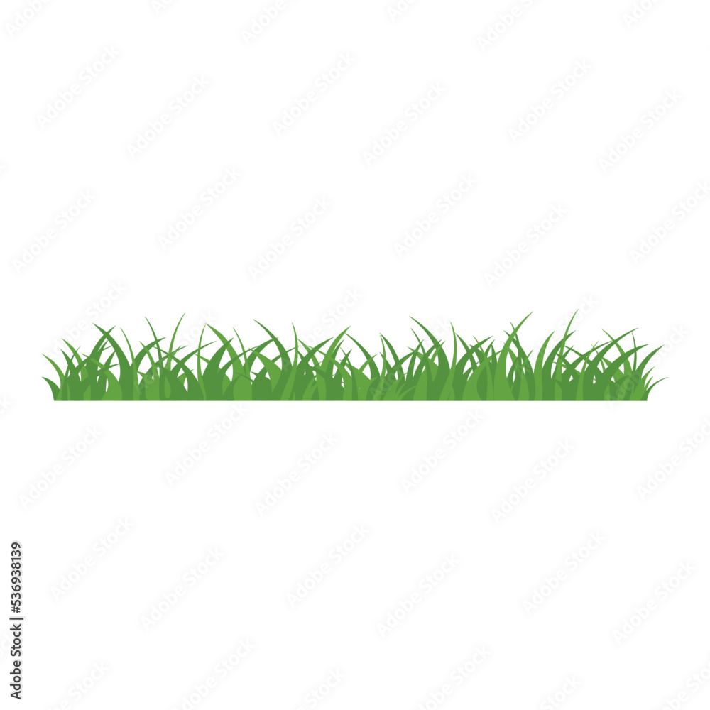Fototapeta premium Green Grass Isolated on White Background,flowers