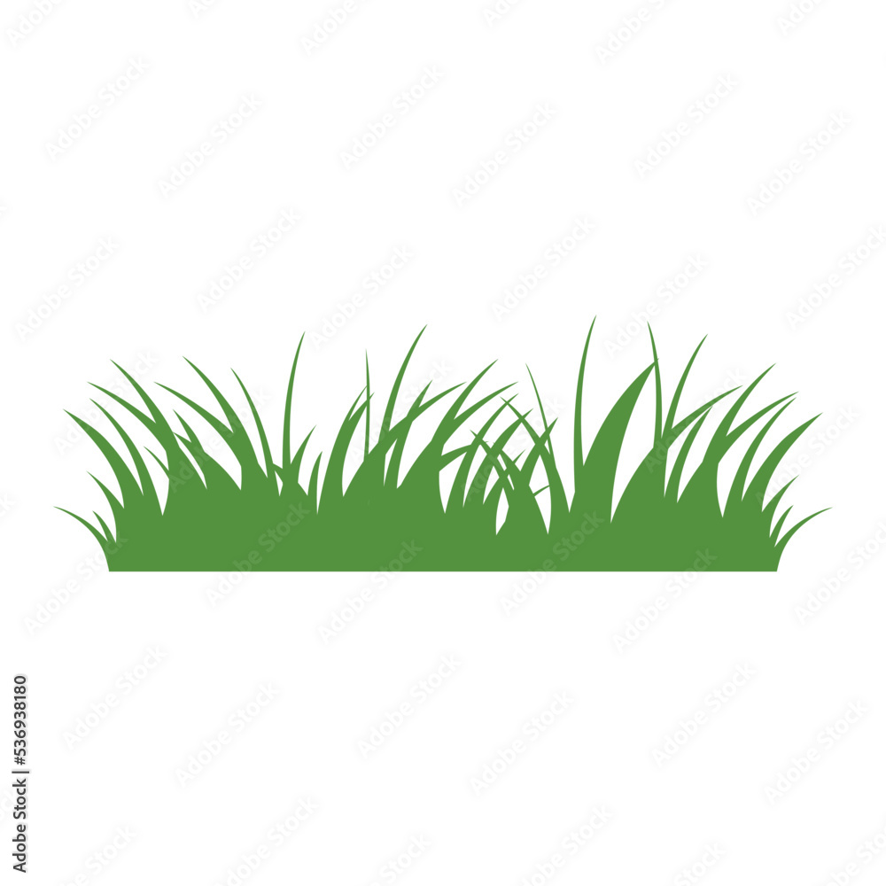 Fototapeta premium Green Grass Isolated on White Background,flowers