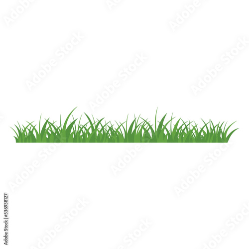 Green Grass Isolated on White Background flowers