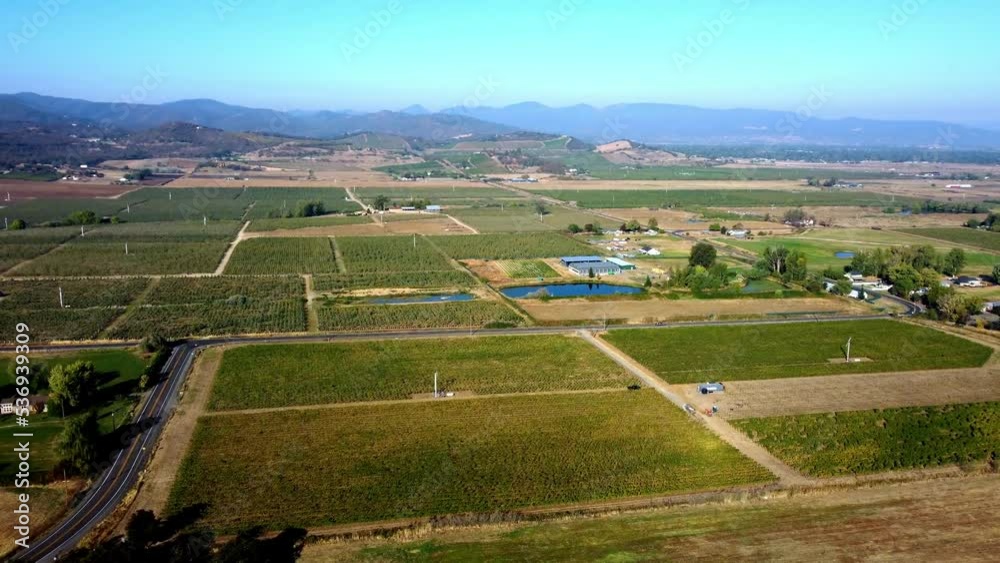 Flying over pear orchards at the start of Fall. 2022-05-10, Medford, Oregon, USA Flying over pear orchards at the start of Fall. 2022-05-10, Medford, Oregon, USA