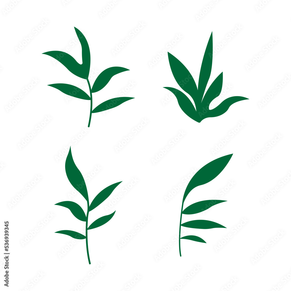 Set with leaves. Botanical illustration. Vector design elements.
