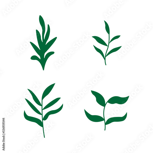 Set with leaves. Botanical illustration. Vector design elements.