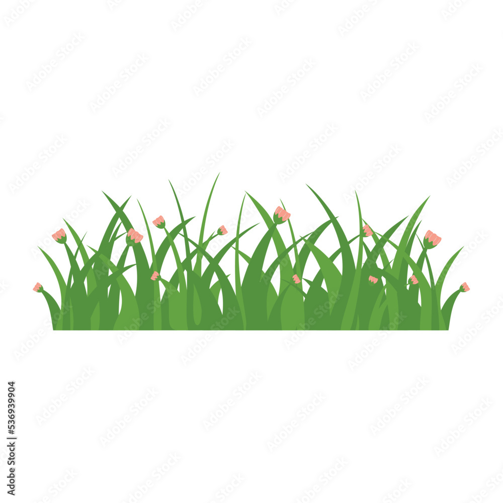 Fototapeta premium Green Grass Isolated on White Background,flowers