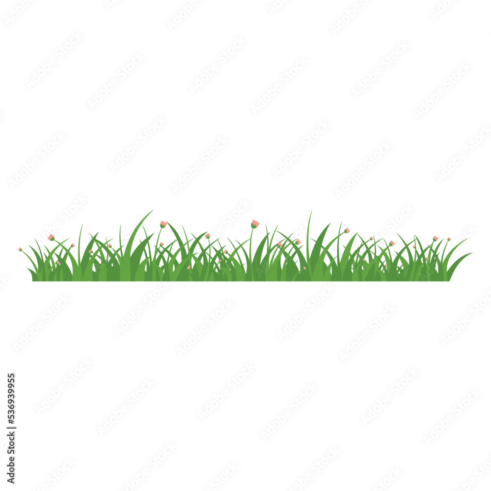 Fototapeta premium Green Grass Isolated on White Background,flowers