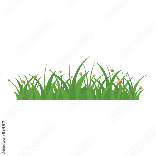 Green Grass Isolated on White Background,flowers © StockBURIN