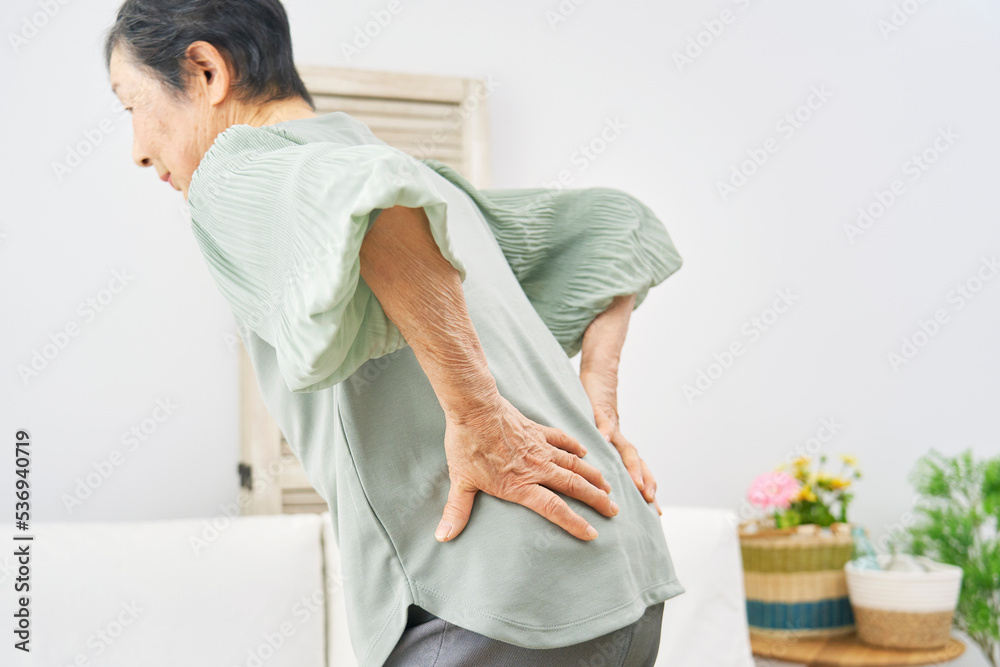Obraz premium リビングで腰痛になる高齢者女性