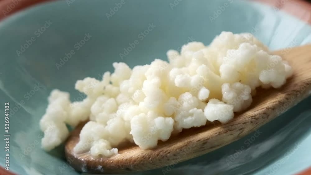 Dry kefir grains on a wooden spoon