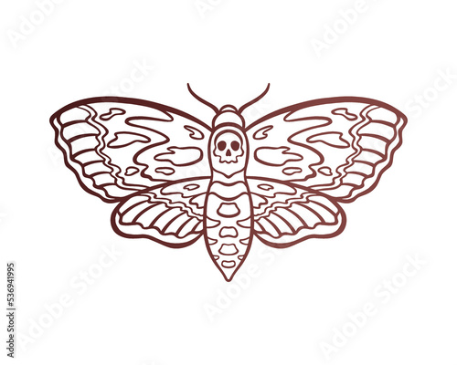 Mystical death's head hawkmoth. Bohemian death moth with skull