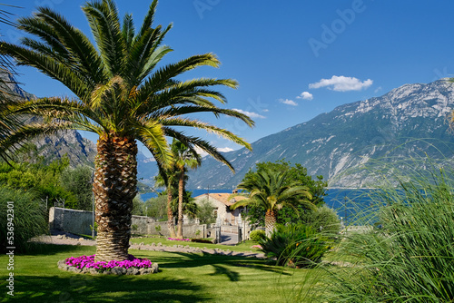 View of Limone sul Garda's village, Garda's lake Italy © Antonio