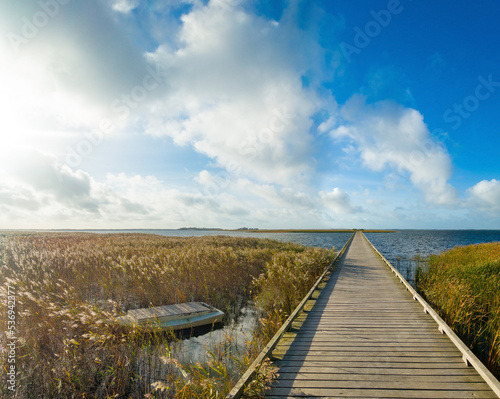 Fussweg   ber eine Holzbr  cke auf die Insel Hind   im Stadilfjord in J  tland  D  nemark