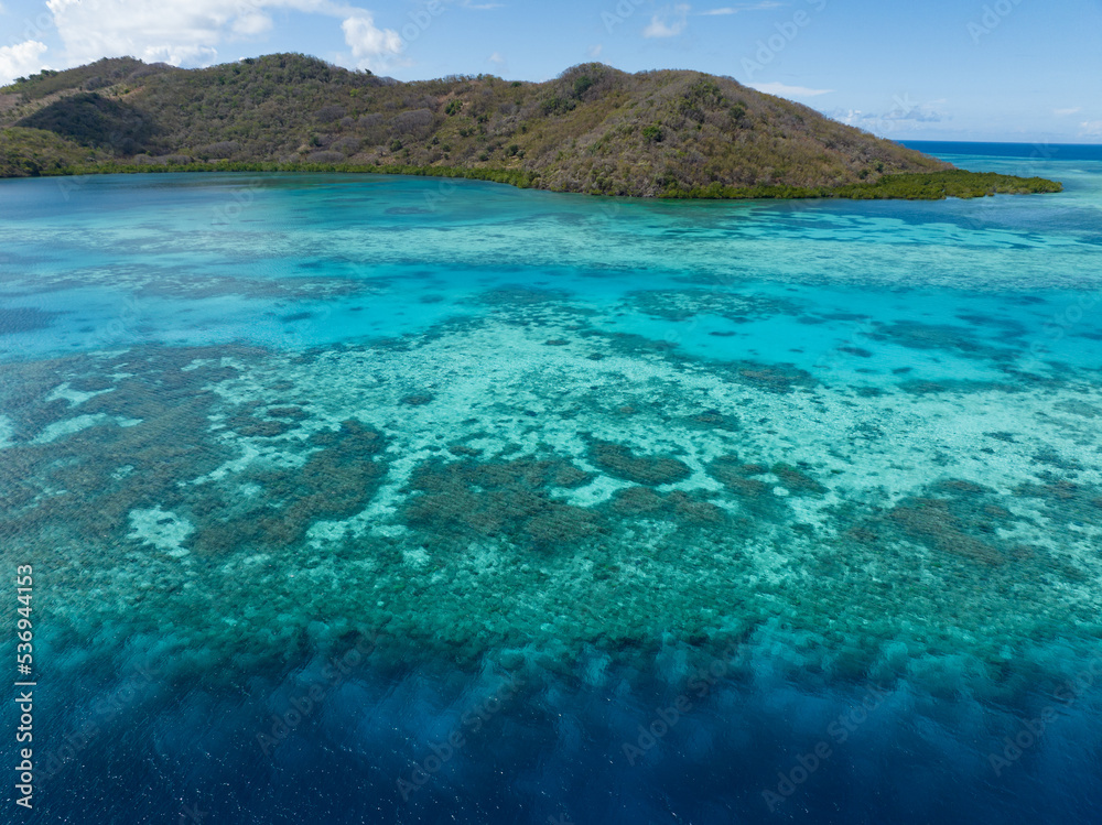 Fototapeta premium A healthy coral reef thrives off the Pulau Besar north of Flores, Indonesia. This region is known for its high marine biodiversity and spectacular scuba diving and snorkeling.