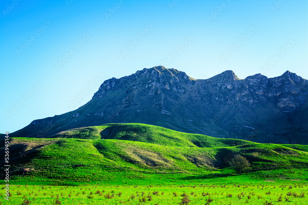 Majestic ridge of Te Mata rising above lush green of rolling hills. Breathtaking veiw of Hawkes Bay region, New Zealand
