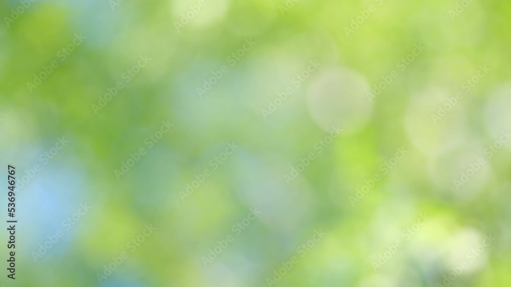 Beautiful sun shine through the blowing on wind tree green leaves. Green blur bokeh light background. Blur. Beautiful sun shine through the blowing on wind tree green leaves. Green blur bokeh light background. Blur.