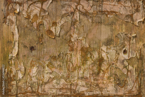 Grunge background from wood covered with old glue and pieces of old paper