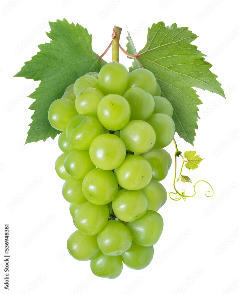 Shine Muscat Grape isolated on white background, Green grape with