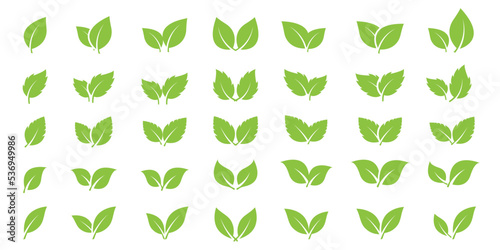 Green leaves icons set. Leafs different shapes. Eco, bio, organic, vegetarian design element. Nature symbols isolated on white background. Vector illustration.