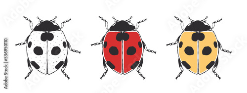Ladybug. Cute hand drawn sketched Beetle. Doodle beetles. Vector illustration