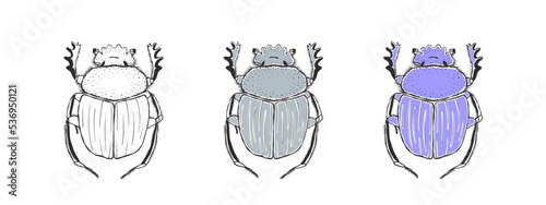 Sacred scarab. Hand drawn sketched Beetle. Doodle beetles. Vector illustration