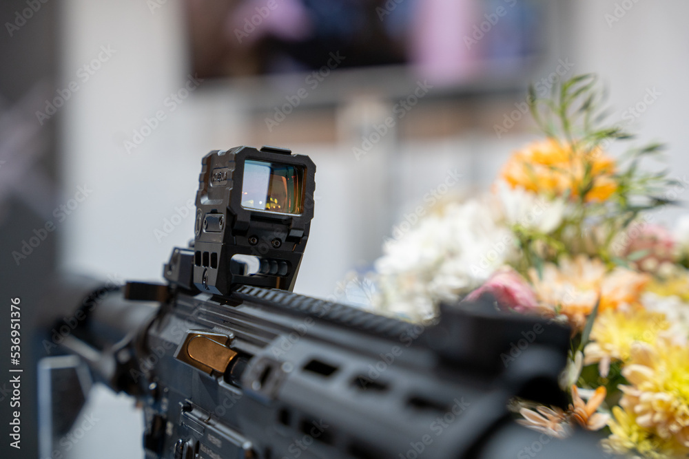 Automatic Weapon Reflector Scope in the Gun Shop Automatic Weapon Reflector Scope in the Gun Shop