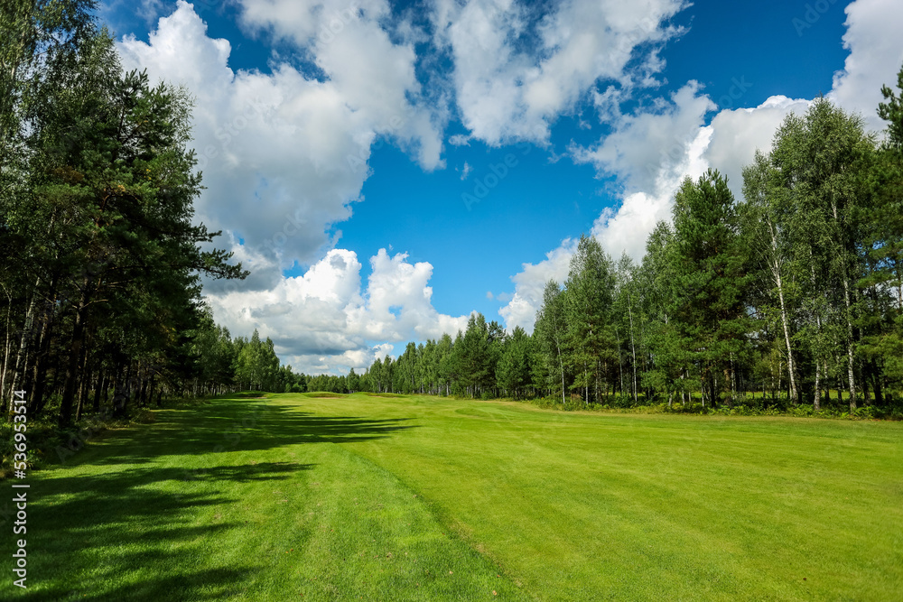Green field against the background of forest and a blue sky Green field against the background of forest and a blue sky