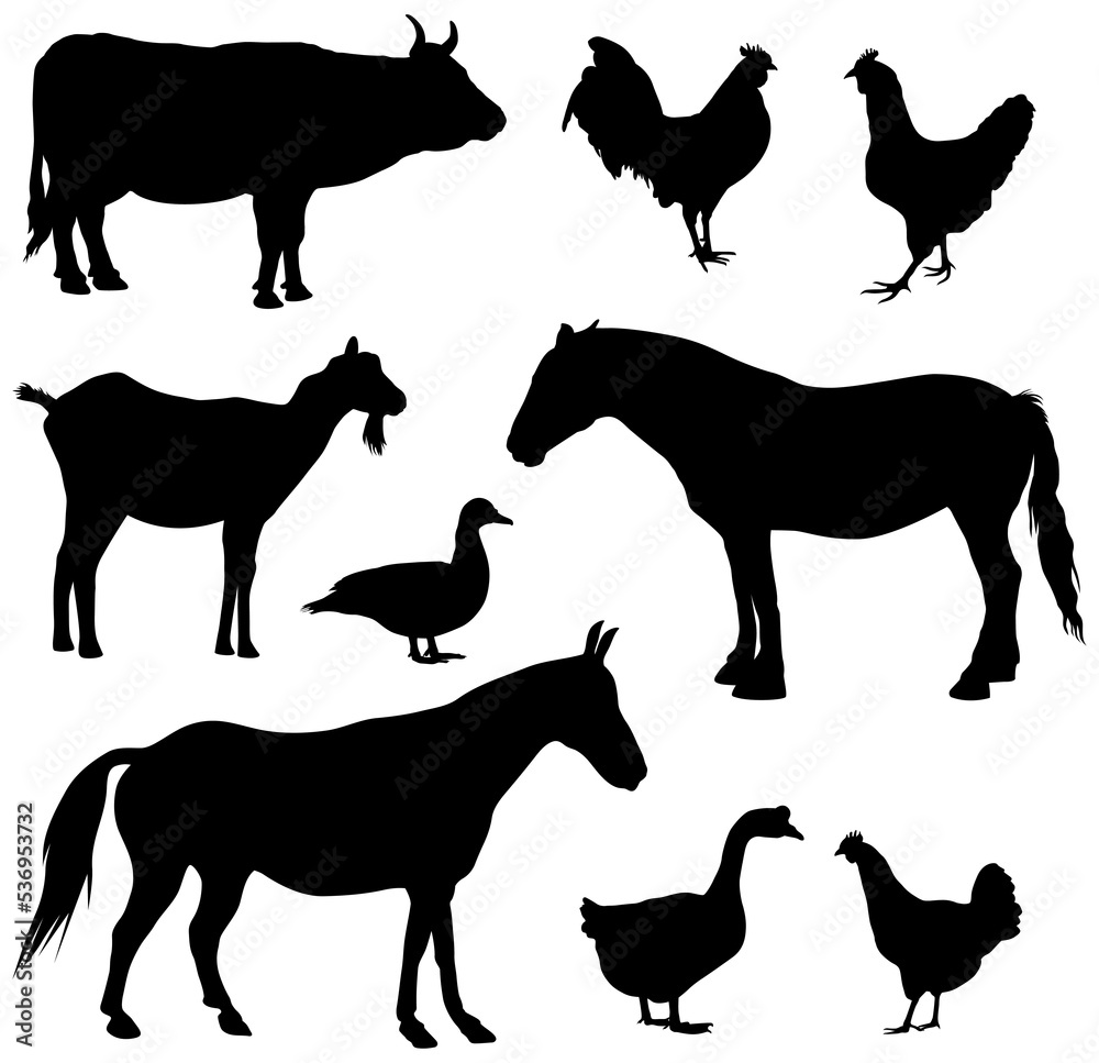 Farm animals silhouettes. Collection of domestic cattle illustration set isolated on white.
Farm animals silhouettes. Collection of domestic cattle illustration set isolated on white.
