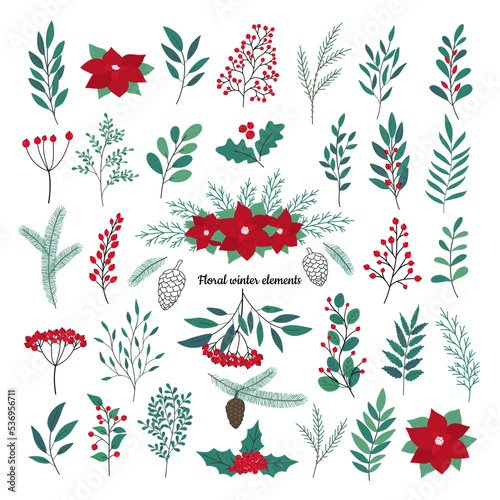 Christmas hand drawn set of poinsettia, leaves, branches, berries, holly, pine cone, guelder rose. Winter floral cozy collection. Vector sketch elements. Happy New Year illustration isolated on white