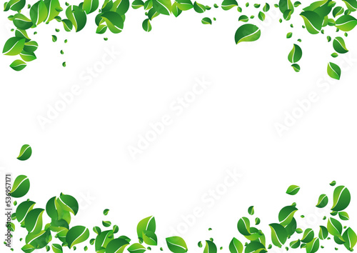 Olive Greens Abstract Vector White Background.