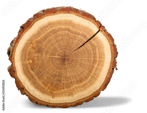 Wood round slice, isolated photo