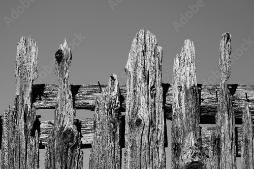 Old wooden fence in a black and white monochrome.