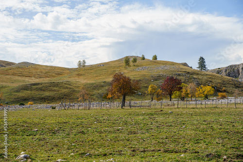 landscape in the mountains