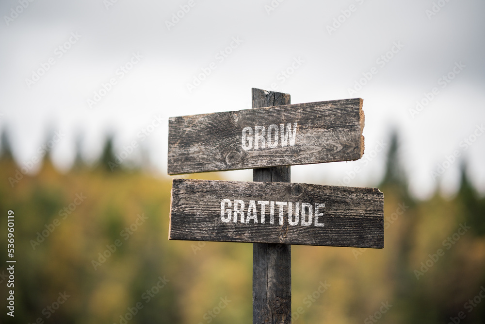 vintage and rustic wooden signpost with the weathered text quote grow gratitude, outdoors in nature. blurred out forest fall colors in the background.
