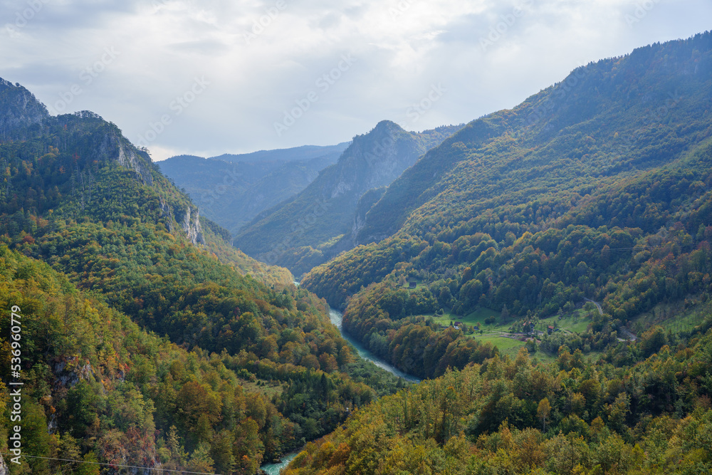 mountain river in autumn