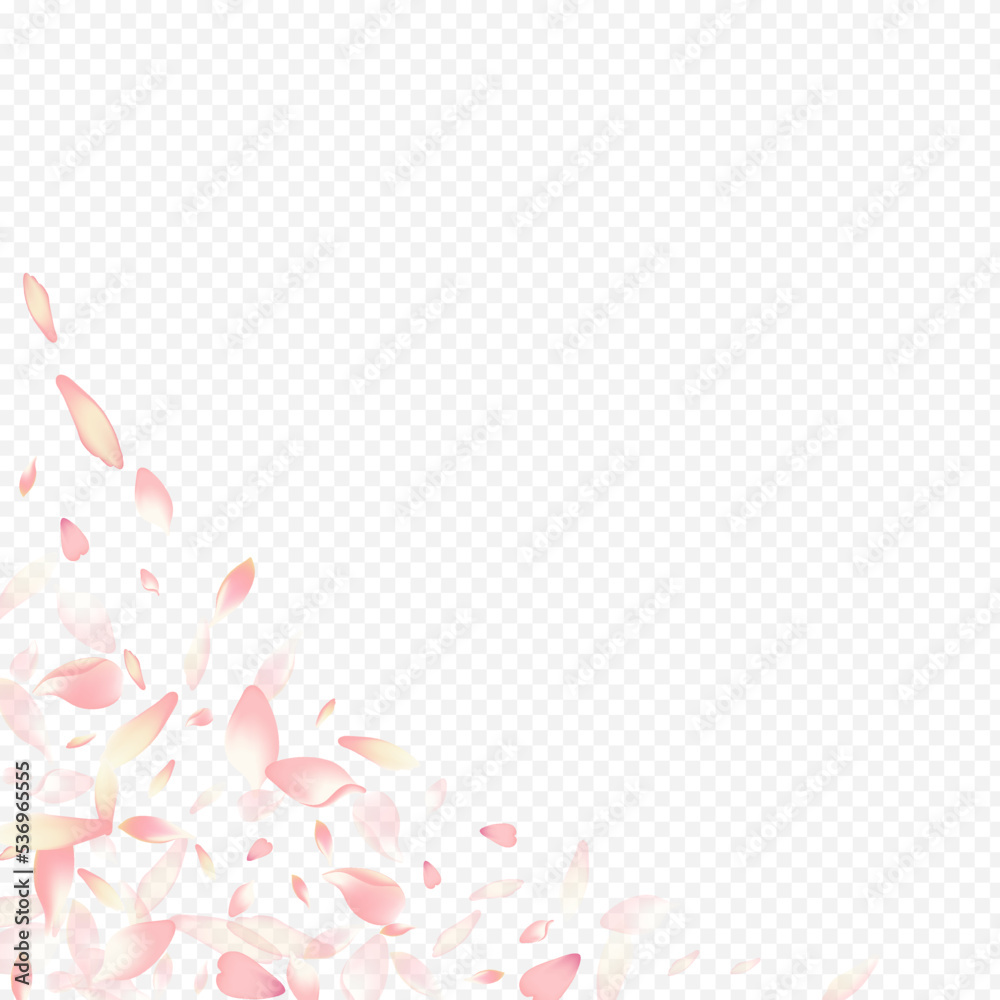 Bright Petal Vector Transparent Background. Apple
