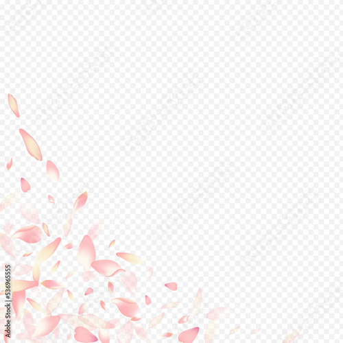 Bright Petal Vector Transparent Background. Apple