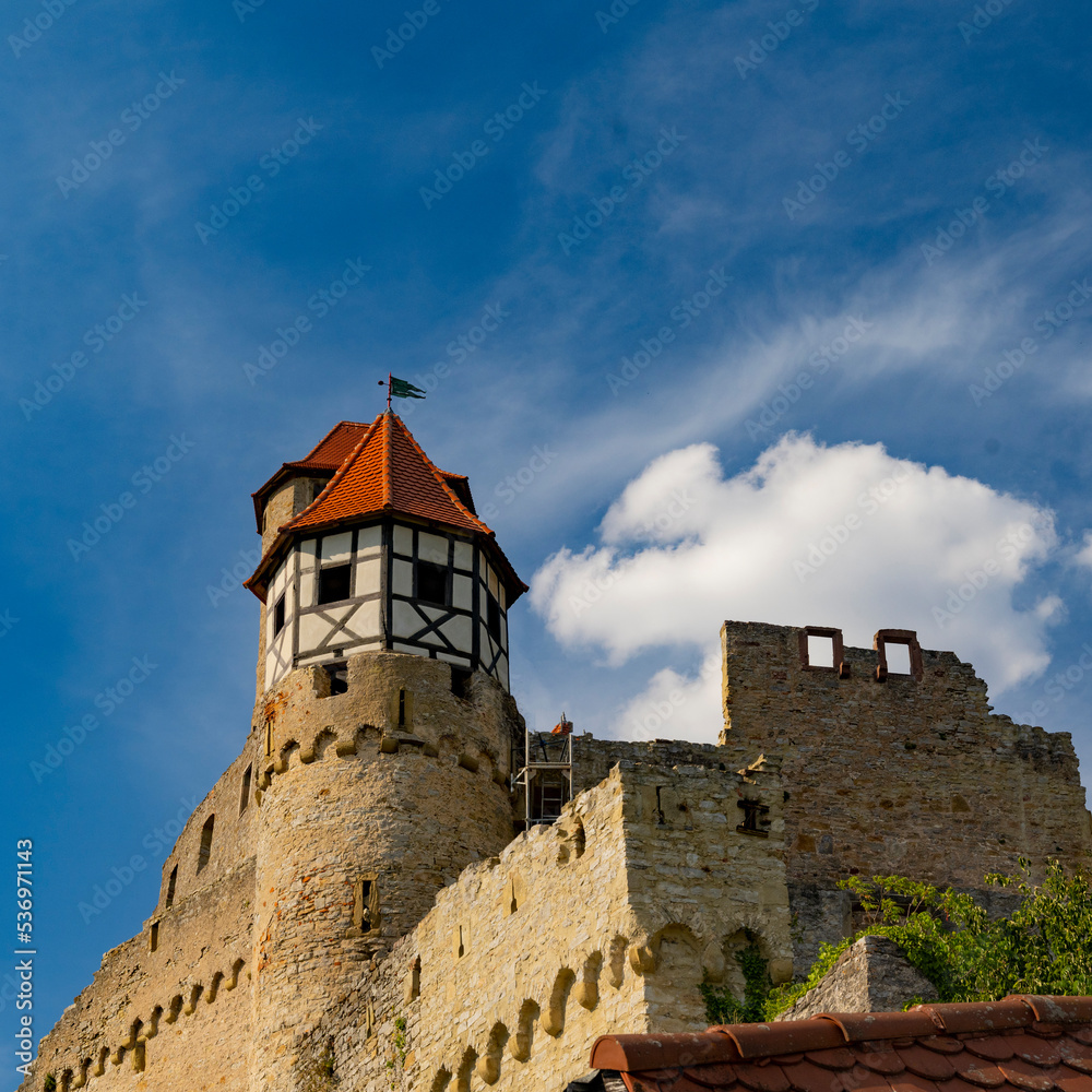 Winery Burg Hornberg am Neckar