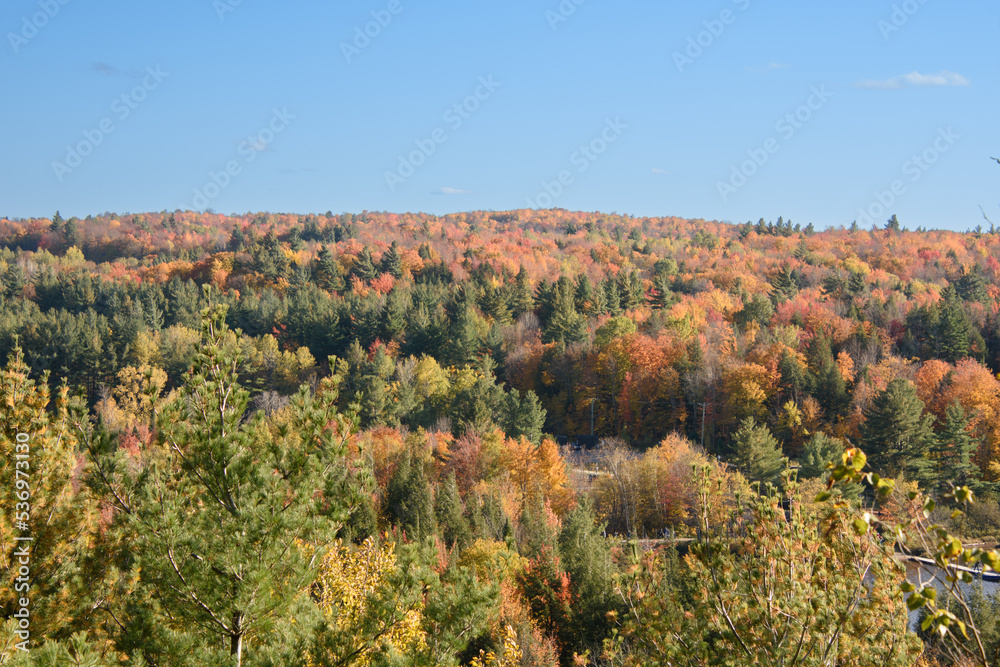 Magnificent autumn landscapes near a lake in the Canadian forest in the province of Quebec
