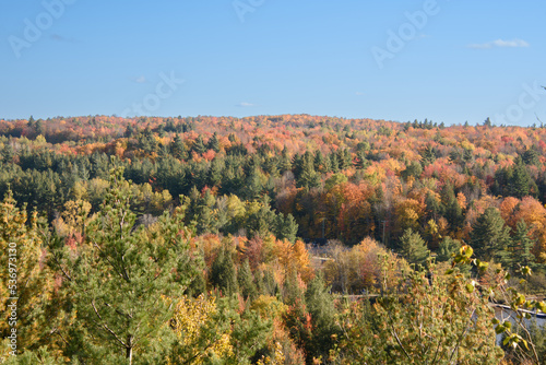 Magnificent autumn landscapes near a lake in the Canadian forest in the province of Quebec