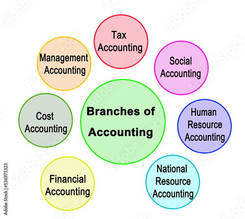 Seven Branches of Accounting