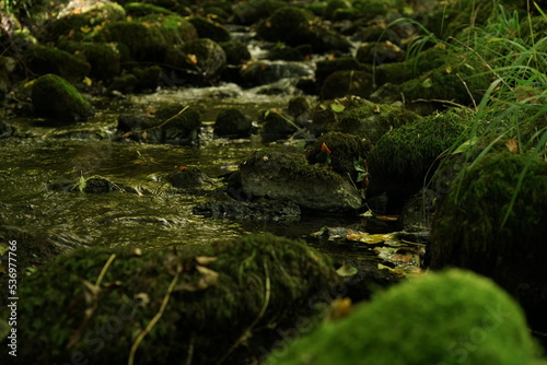 Fluss mit Laub und Blättern nach einem Fließgewässer