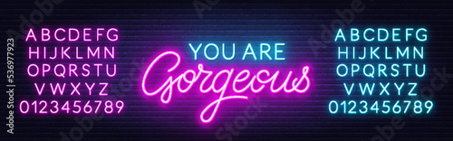 You are Gorgeous neon quote on a brick wall.