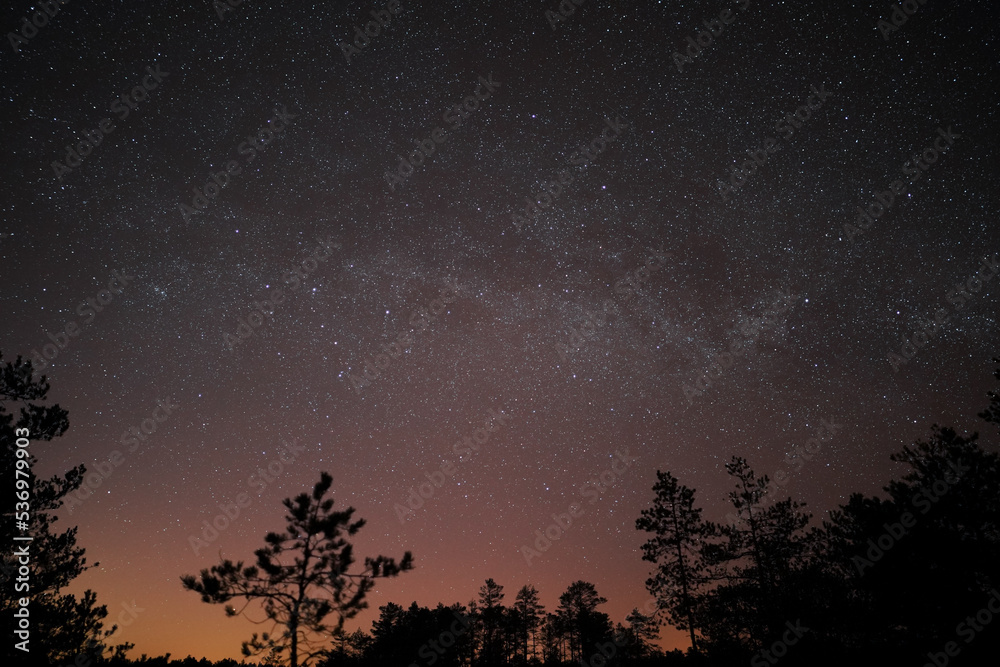 Night scene in the forest, night starry sky with milky way, Viru swamp.