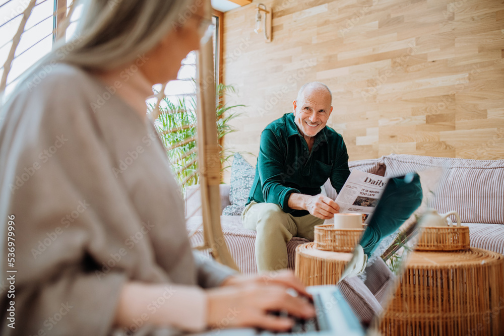 Senior woman sitting in swing and working at laptop, her husbandreading newspaper at sofa. Concept of home office and active senior lifestyle. Senior woman sitting in swing and working at laptop, her husbandreading newspaper at sofa. Concept of home office and active senior lifestyle.