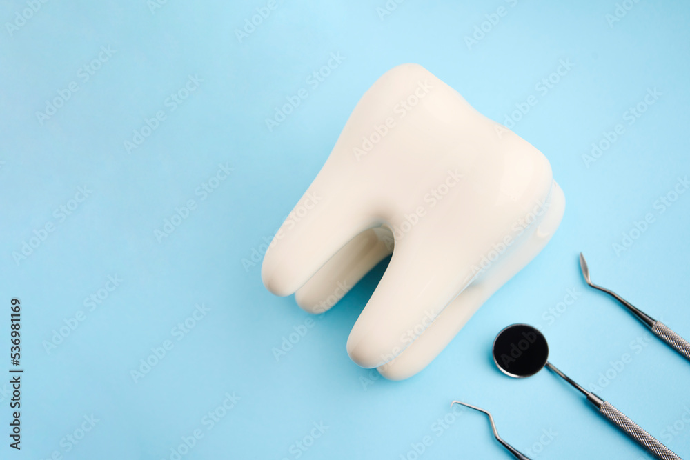 Dental tooth model and dentistry tool Dental tooth model and dentistry tool