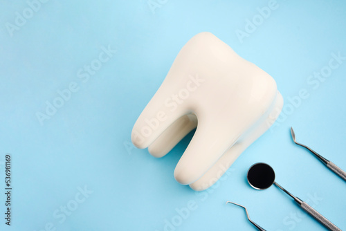 Dental tooth model and dentistry tool